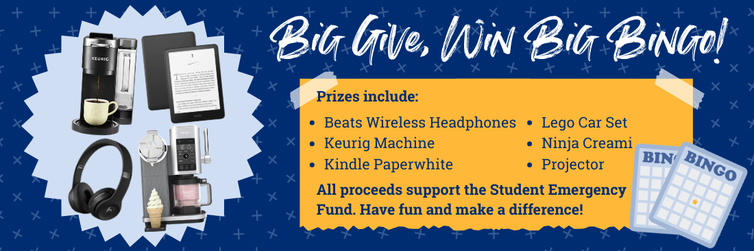 Big Give Win Big Bingo