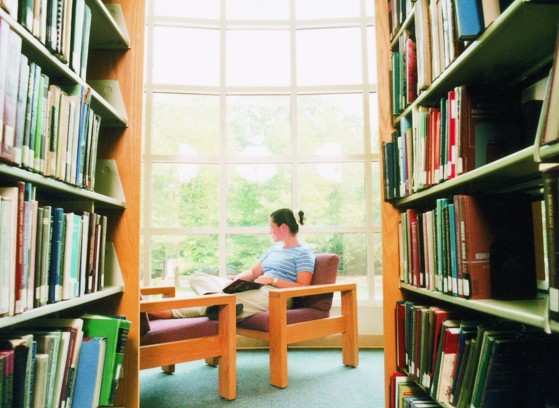 New York Tech Library